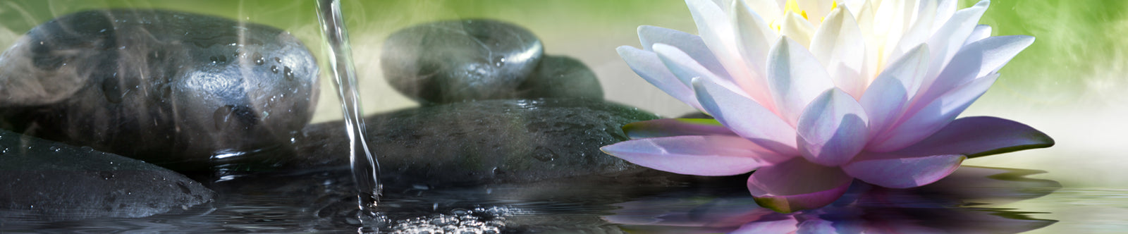 Rainbow Serpent Essence