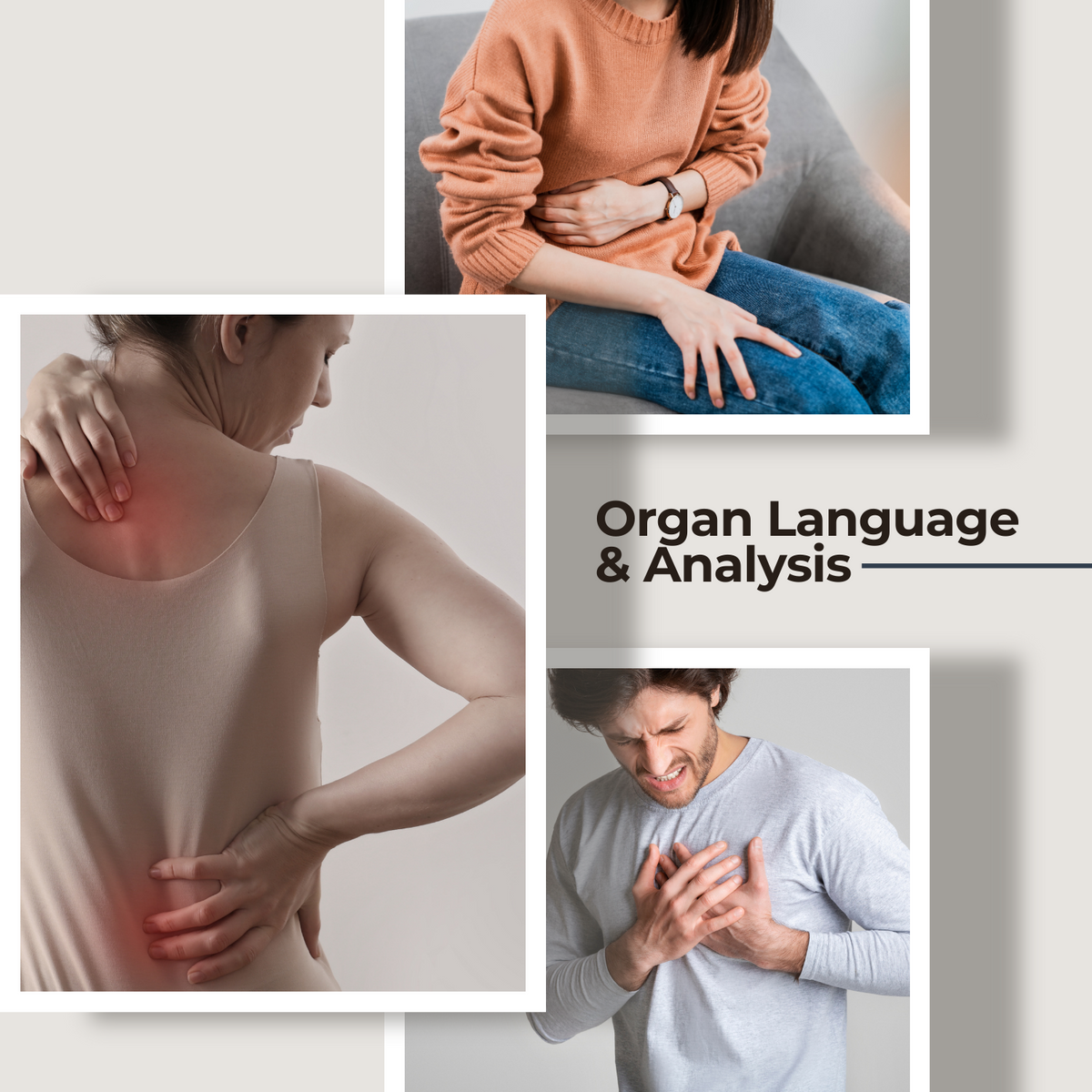 Organ Language & Analysis Online Class