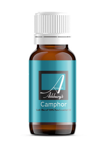 Camphor, White (Cinnamomum camphora)