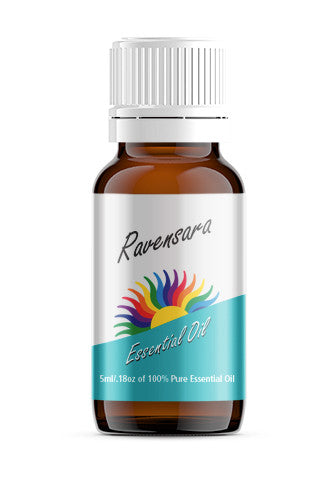 Ravensara (Ravensara aromatica)